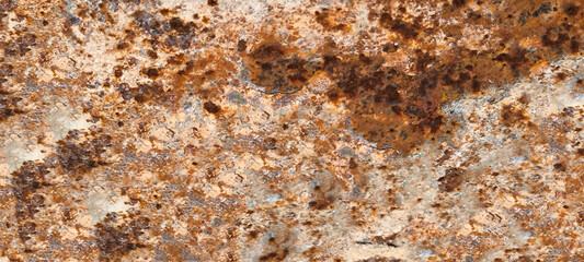 Rust on the iron door for the background. old peeling paint on rusty gates.