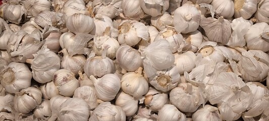 Fresh garlic for cooking. Garlic for background.
