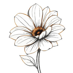 The black-and-white flower sketch portrays a blossom with a charming and adorable aura. Sharp lines and soft contrasts highlight the flower's delightful character.
