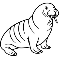 Icy Walrus line art vector