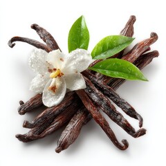 Vanilla flowers and pods, isolated on white background with space for text.