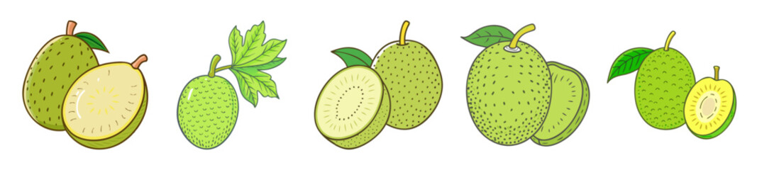 breadfruit icon, breadfruit line art - simple line art of breadfruit, perfect for breadfruit logos and icons