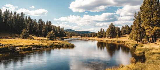 Fototapeta premium Scenic River Landscape with Lush Forests Reflecting Tranquility of Nature