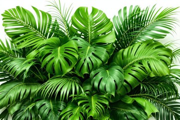 Dense cluster of tropical monstera and palm leaves in realistic style on a light background, representing vibrant jungle foliage concept. Ai generative