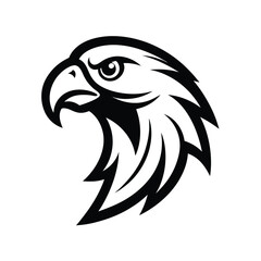 Vector Hand Sketch of Parrot Head with Detailed Features