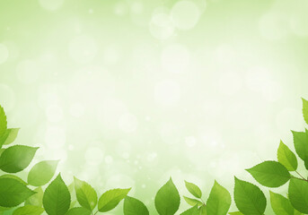 Fototapeta premium お花フレーム