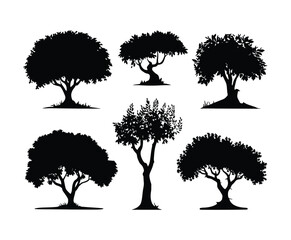 Olive Tree Silhouette EPS Vector Template on White Background
