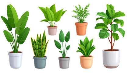 Obraz premium Collection of various potted houseplants, including leafy greens and succulents, displayed in different colored pots. plants vary in size and shape, adding vibrant touch to indoor decor