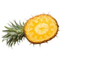 A horizontal cross-section of a ripe pineapple showing its circular core and radial pattern, placed on a white background like a fruit diagram, top-down view, ultra high detail.
