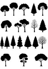 Midnight Arbor Silhouettes