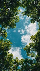 Nature exploration under lush greenery skyward view outdoor photography serene environment for tranquility