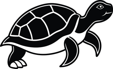 turtle vector illustration