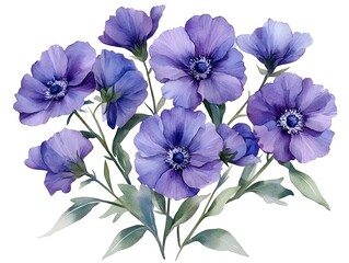 Fototapeta premium A lovely watercolor painting depicts a bouquet of delicate purple anemones with lush green leaves on a white background.