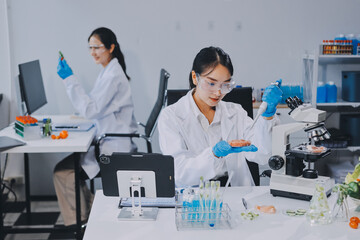 Chemical Laboratory of the Food supply . Food in laboratory, dna modify .GMO Genetically modified...