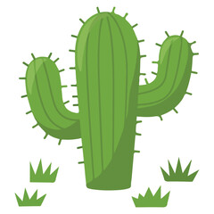Prickly green cactus for Cinco de Mayo isolated vector illustration on white background
