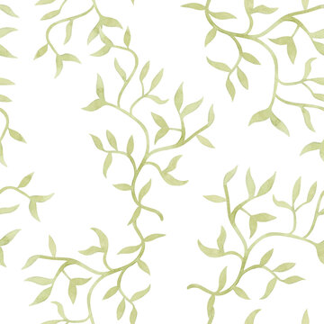 Abstract liana vine watercolor seamless pattern on white. Floral background with light green creeper. Simple garden climbing plant in minimalist style. Pastel stem with leaves clip art