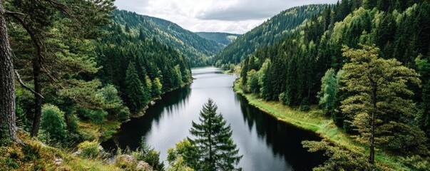 Scenic view of lake in pine forest around beautiful landscape concept. Serene river winding through lush green valleys and dense forests.