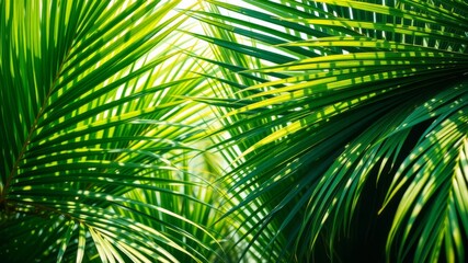 Lush vibrant green palm fronds bask in sunlight creating a tropical paradise background image perfect for summer designs.