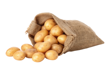PNG Burlap sack filled with fresh potatoes spilling out