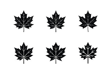 maple sketch icon silhouette vector illustration