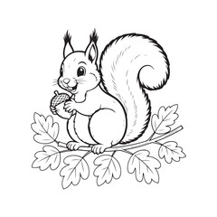 Line drawing of a squirrel sitting on a branch with acorns, detailed and cute, ideal for nature, wildlife, or animal-themed projects.