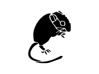 Rat Mouse Black Icon Logo Design – Minimal SVG Art File for Pest Control, Wildlife, Animal Symbol, and Digital Branding Use