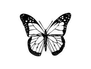 Beautiful Butterfly Icon Logo Design – Elegant SVG Image File for Nature Themes, Fashion, Crafts, Branding, and Creative Digital Projects