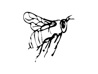 Beautiful Butterfly Icon Logo Design – Elegant SVG Image File for Nature Themes, Fashion, Crafts, Branding, and Creative Digital Projects