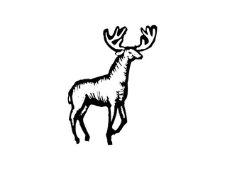 Wild Animal Icon Logo Design – High-Quality SVG Image File for Nature, Wildlife Branding, Forest Themes, and Outdoor Projects