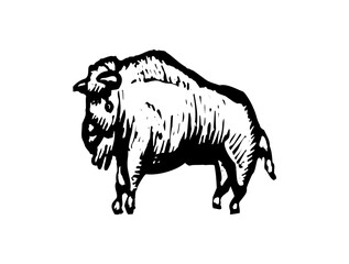 Yolk Animal Icon Logo Art Design SVG – Fun Vector File for Eggs, Characters, Food, and Creative Branding Projects