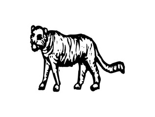 Wild Animal Icon Logo Design – High-Quality SVG Image File for Nature, Wildlife Branding, Forest Themes, and Outdoor Projects