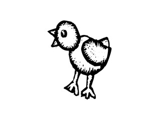 Animal Bird Icon Logo Art Design SVG – High-Quality Vector File for Wildlife, Nature, Pets, and Creative Branding Projects