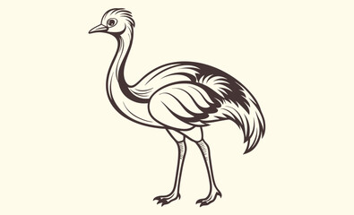 Emu bird silhouette, Emu vector illustration, Emu animal graphic, Emu shape outline, Emu profile art

