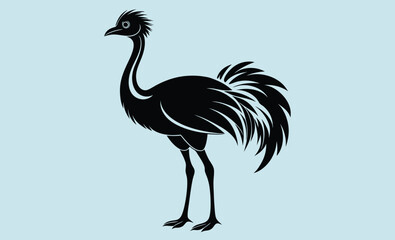 Emu bird silhouette, Emu vector illustration, Emu animal graphic, Emu shape outline, Emu profile art
