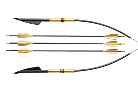 PNG Set of black and gold archery arrows with detachable tips for precision shooting