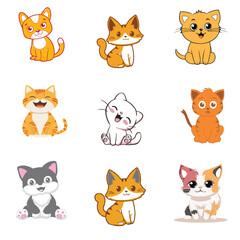 cat color vector image