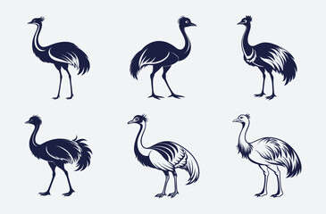 Emu bird silhouette, Emu vector illustration, Emu animal graphic, Emu shape outline, Emu profile art
