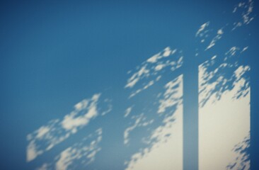 Window Light & Leaf Silhouette on Blue Wall - Serene Nature Backdrop