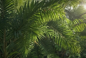 Vibrant green palm fronds, sunlight dappled, lush texture, green, stock