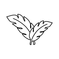 Fototapeta premium Leaf Icon