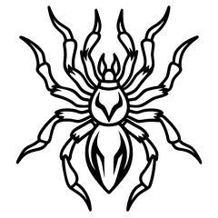 Blazing Wolf Spider Line Art Vector