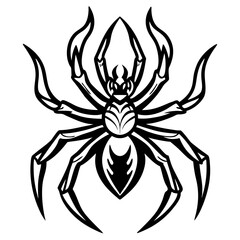 Blazing Wolf Spider Line Art Vector