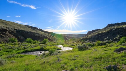 Naklejka premium Lens flare from bright sun shining into a peaceful natural valley scene