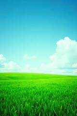 Obraz premium Serene Landscape Expansive Green Field Under a Vivid Blue Sky with Puffy White Clouds