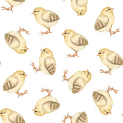 Pastel yellow baby chicks watercolor seamless pattern on white. Cute chickens for Easter repeat backgrounds or farm birds designs. Fall domestic animals for textile, wrapping paper and kids clothes