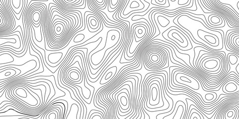 Abstract topography wave lines pattern on white background, topographic contours map background, geographic contour map vector background, White paper curved reliefs for background.