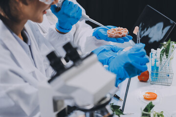 Chemical Laboratory of the Food supply . Food in laboratory, dna modify .GMO Genetically modified...