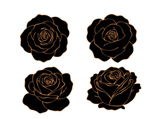 set of elegant black rose flower with gold outline. vector illustration on white background.
