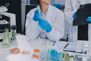 Chemical Laboratory of the Food supply . Food in laboratory, dna modify .GMO Genetically modified...