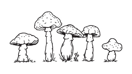 Shimeji mushroom line art minimal clean style